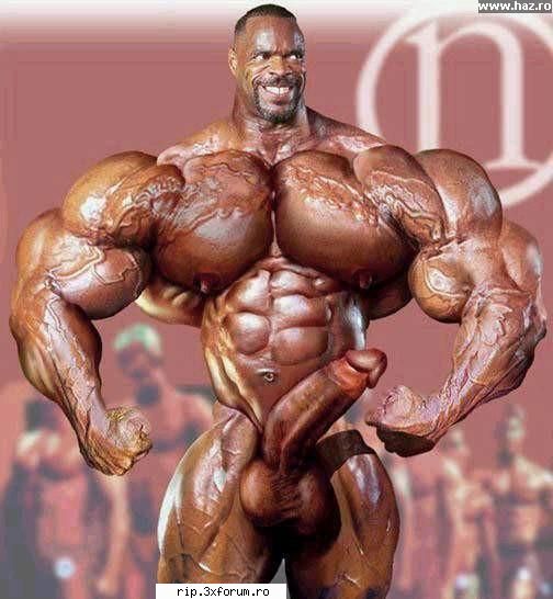 Poze - Va Duceti La Sala De Fitness ? Cand O Sa Aratati - Poze