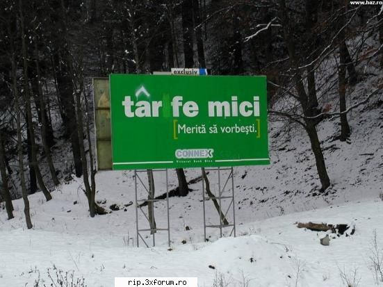 Poze - Tarife mici ??? Sau Tarfe mici?????? - Poze